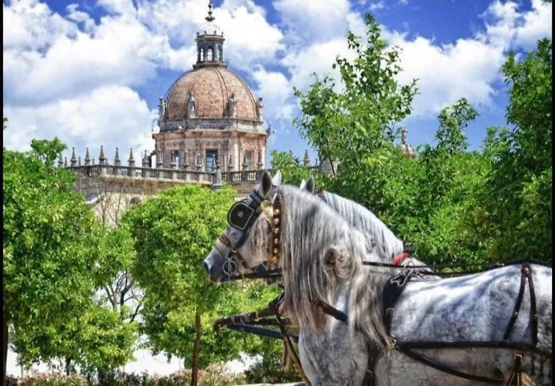 Apartamento Nuevo Jerez Bahia Jerez de la Frontera